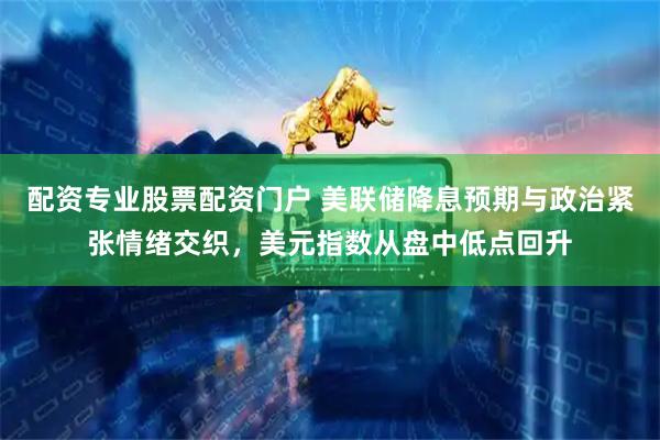 配资专业股票配资门户 美联储降息预期与政治紧张情绪交织，美元指数从盘中低点回升