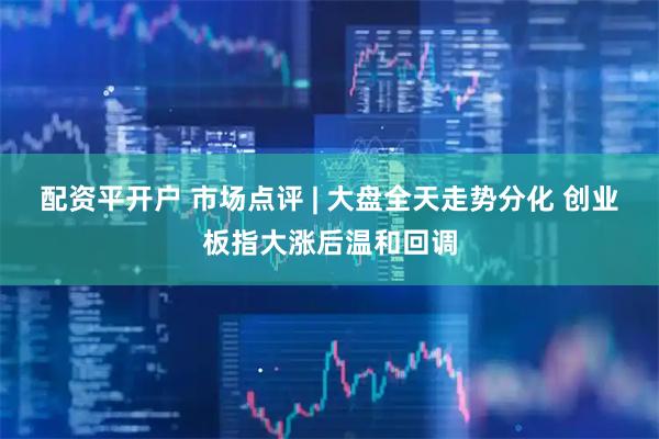 配资平开户 市场点评 | 大盘全天走势分化 创业板指大涨后温和回调