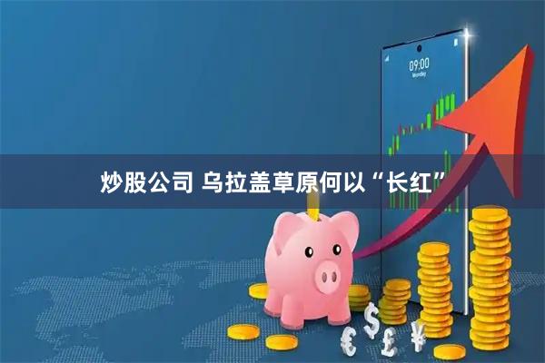 炒股公司 乌拉盖草原何以“长红”