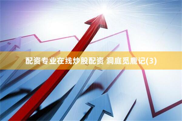 配资专业在线炒股配资 洞庭觅鹿记(3)